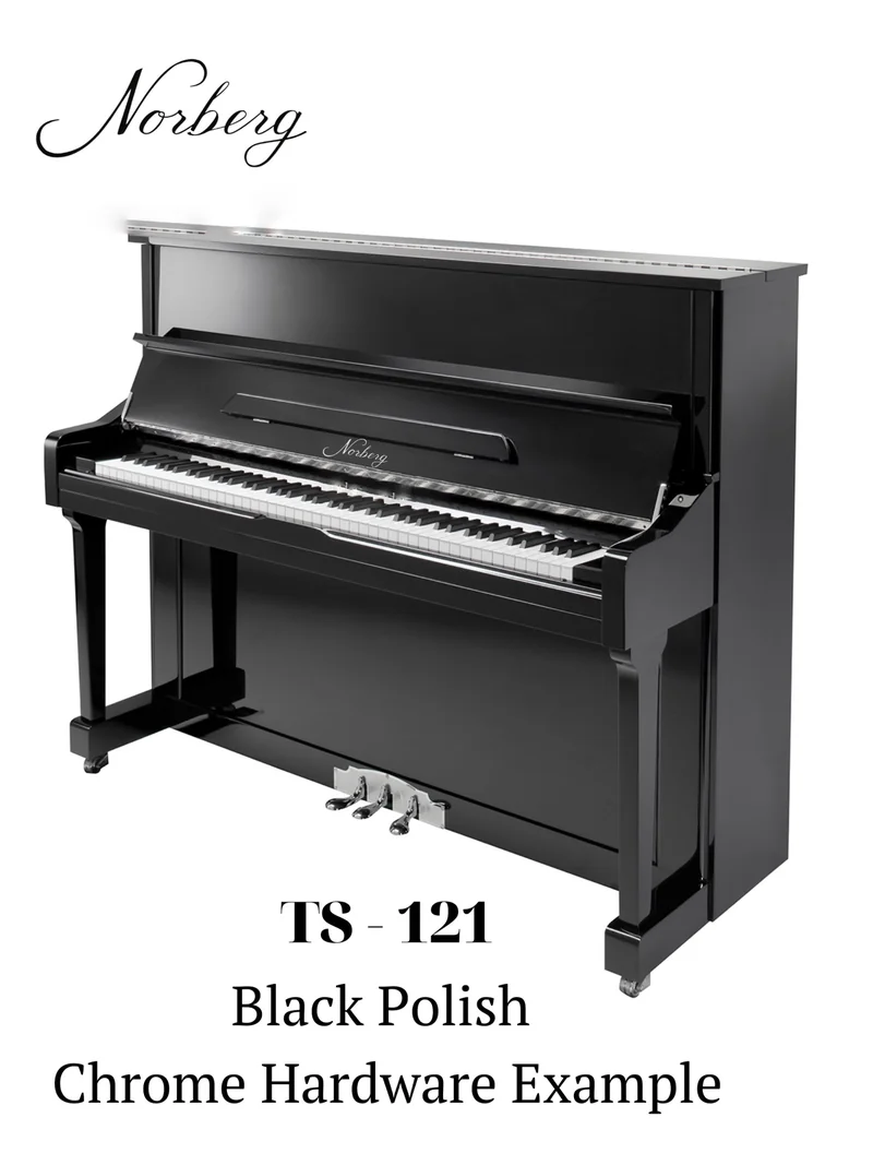 TS-121 · A contemporary classic, complete catalogue photograph